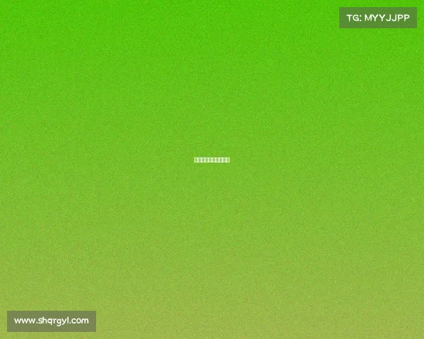 国内篮球赛事最新消息